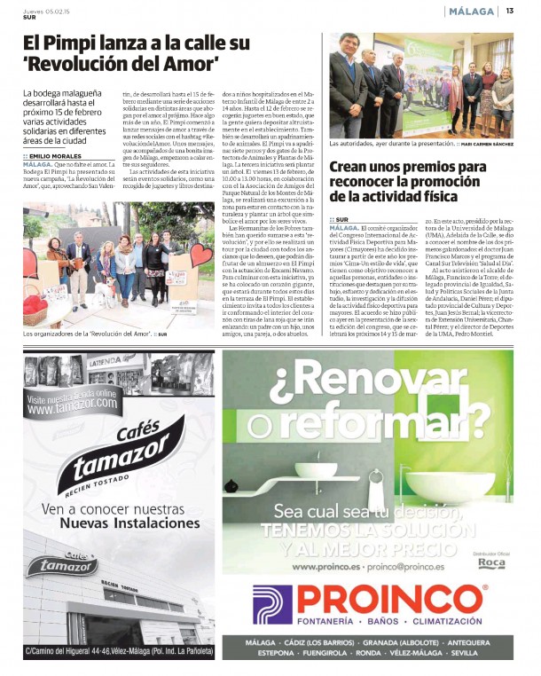 Diario Sur 05/02/2015